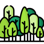 Trees